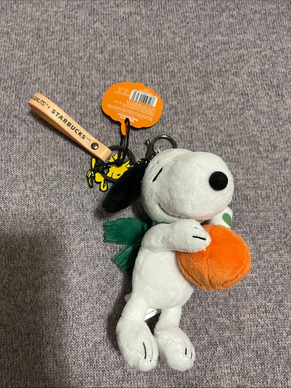 Starbucks themed dog